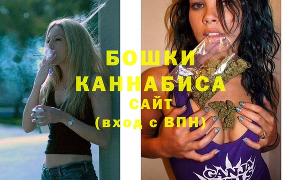 МДПВ Нижний Тагил