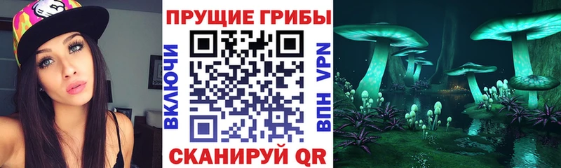 Купить закладки  Лысково  Псилоцибиновые грибы Psilocybe 